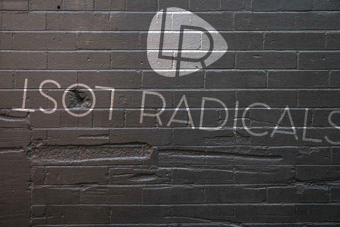 "November Spawned a Monster" launch party (gallery)